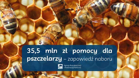 Grafika / ARiMR Pomoc dla pszczelarzy 35,5 mln zł