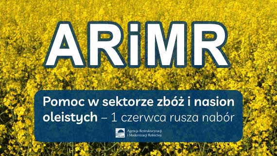 Grafika / ARiMR Wnioski na pomoc w sektorze zbóż i nasion oleistych