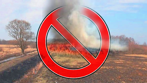 Symbol / Zakaz wypalania traw
