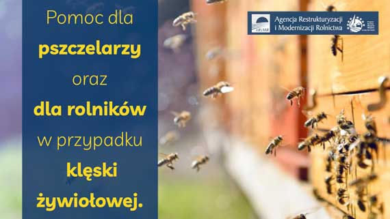 Plakat / ARiMR Rusza pomoc dla pszczelarzy