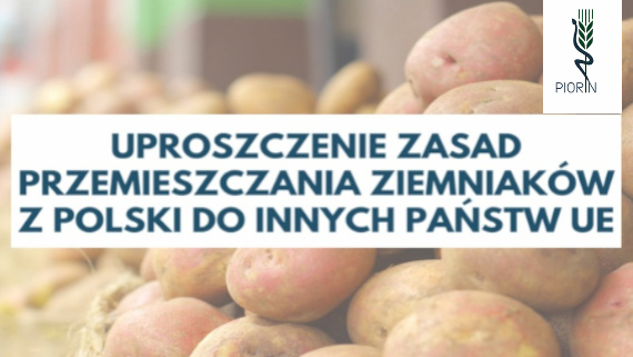 Grafika / PIORiN Zasady przemieszczania bulw ziemniaków