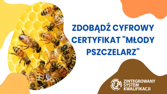 Grafika / Cyfrowe odznaki pszczelarskie na Święcie Miodu w Gomunicach