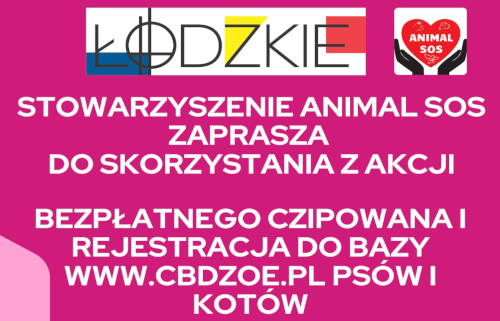 Grafika /  Akcja czipowania psów - piatek 27.06.2025
