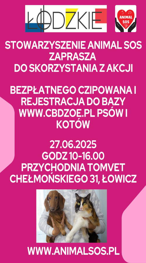 Grafika /  Akcja czipowania psów - piatek 27.06.2025